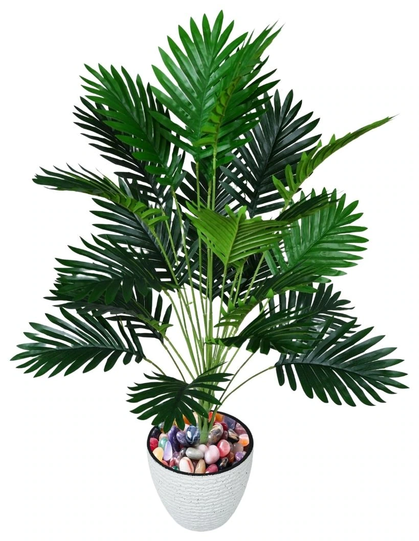 Erica Plant 24 Leaves